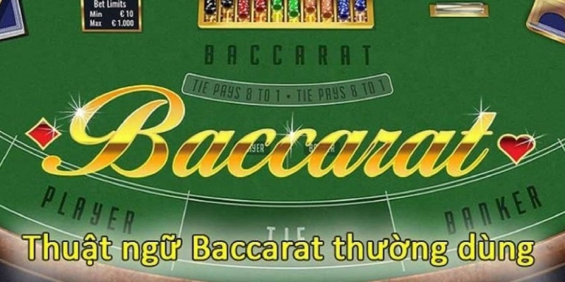 Một số thuật ngữ cơ bản mà tay cược cần biết rõ