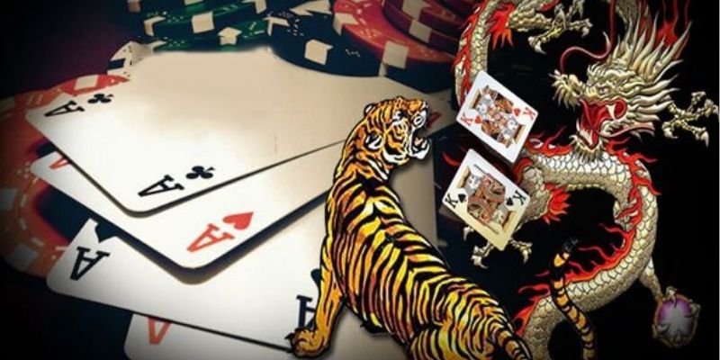 Cách chơi Rồng Hổ siêu chuẩn dành cho người mới bắt đầu