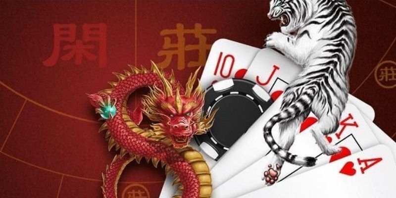 Cược nhỏ là cách chơi Rồng Hổ được nhiều chuyên gia ưa chuộng nhất