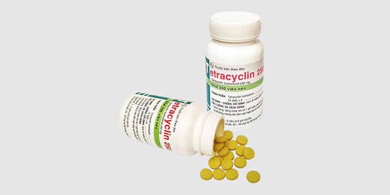 Trị đẹn cho gà đá bằng thuốc tây cực kỳ hiệu quả